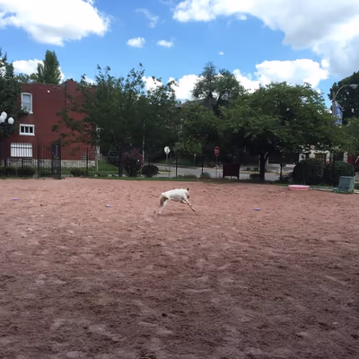 Shaw Dog Park photo 2